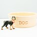 Large Classic Vintage RRPCo Stoneware Pottery Dog Bowl
