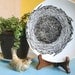 Bird Nest Black & White Hand Drawn Plate