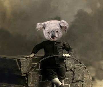 Willy - Vintage Koala 5x7 Print - Anthropomorphic - Altered Photo - Cute Animal  - Whimsical Art - Photo Collage - Funny Animal - Gift Idea