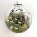 RESERVED FOR NICKY!!!A Shepherd with Sheep Scene Glass Ornament