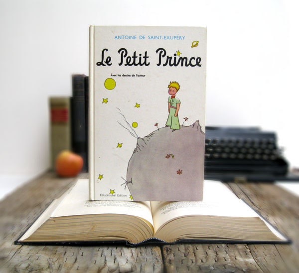 Kindle Cover or Nook Cover- Ereader Case made from a Book- Le Petit Prince- The Little Lame Prince