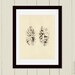 ART SALE  8 x 10 Leaf Painting Art Print 6 - beige brown abstract leaf home decor wall art