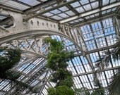 greenhouse, kew gardens, england, nature, postcard, wall art