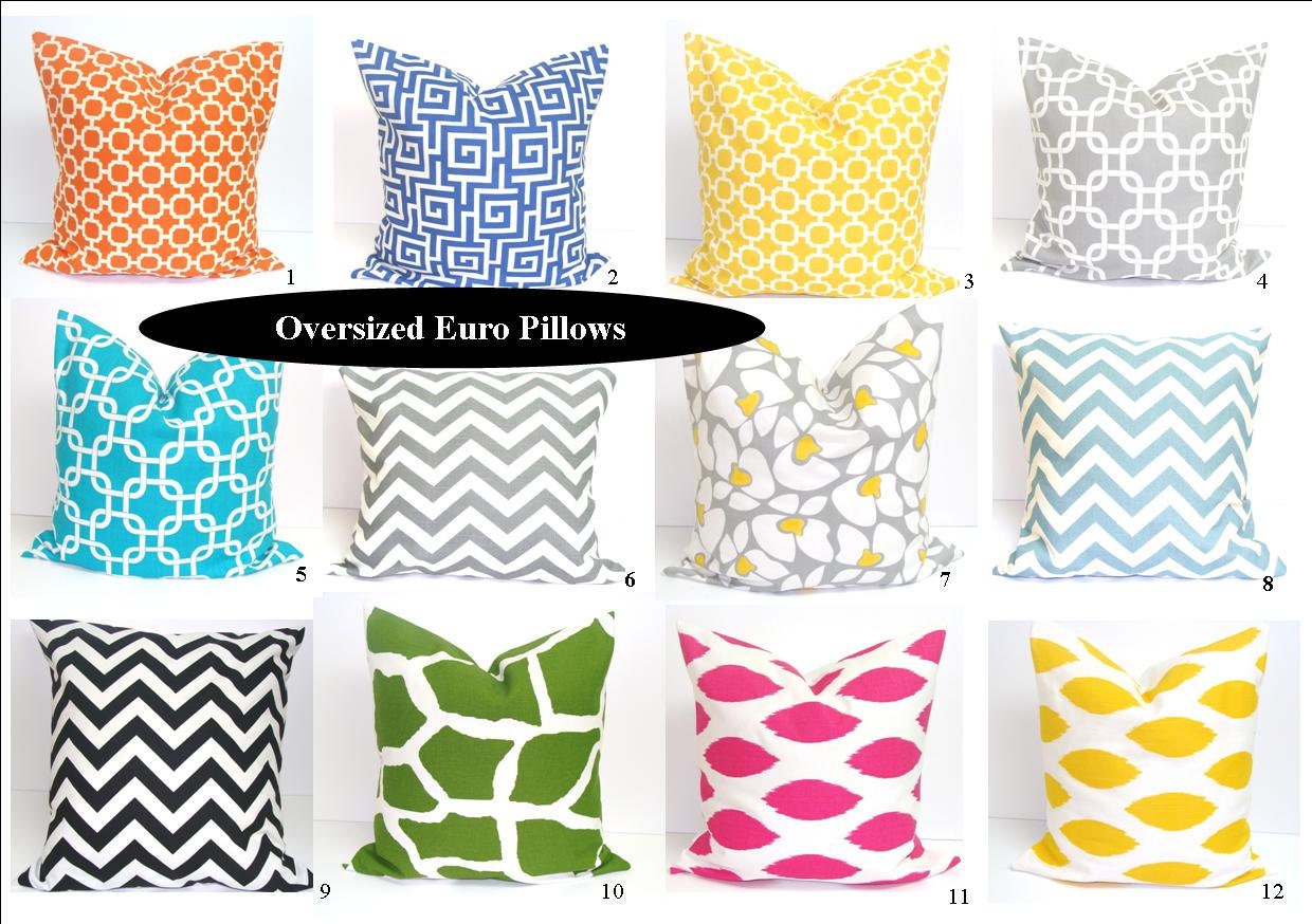 Euro Pillow Covers.24x24 inch Designer Pillow Covers.Printed Fabric Front and Back.Floor Cushions
