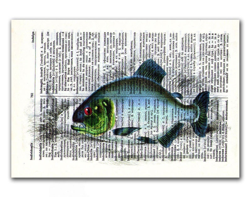 Fishes of Guiana, vintage illustration printed on Upcycled English Dictionary page. Buy 3 and get 1 FREE