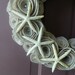 Summer Wreath - Beach Wreath - 14 Inch Felt Flower Wreath in Sandstone with Pearls and Starfish