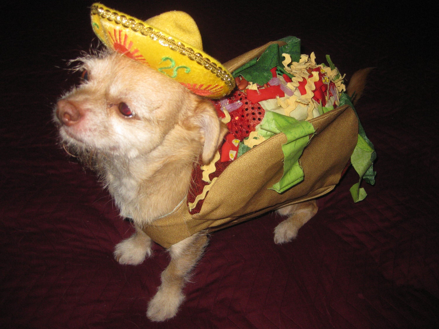 Taco Costume Dog