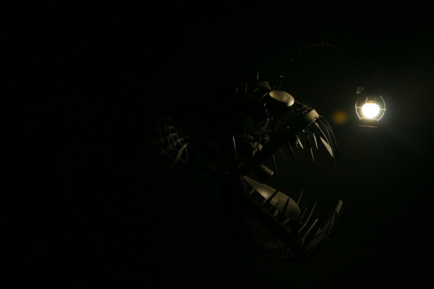 Deep Sea Angler Fish