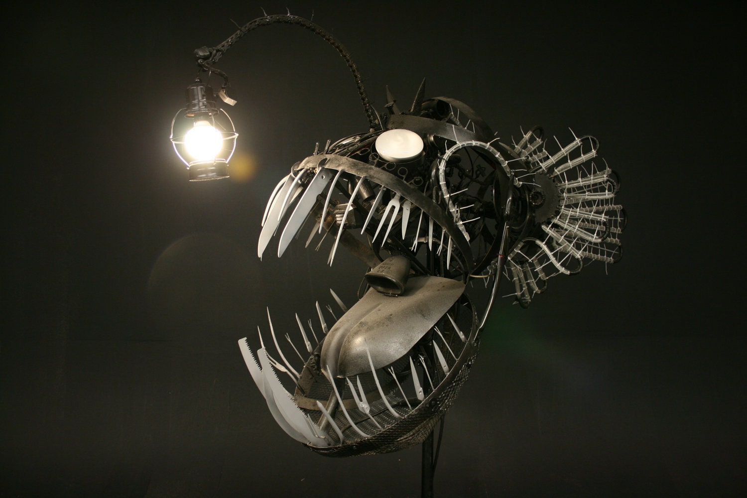 Deep Sea Angler Fish