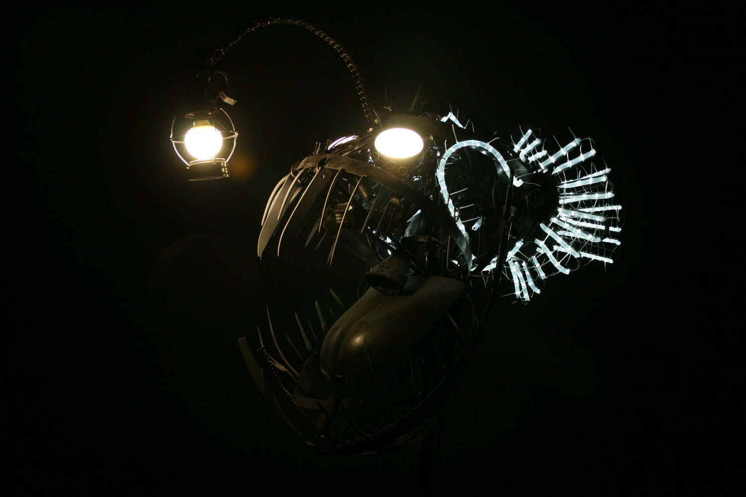 Deep Sea Angler Fish