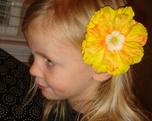 Spring Yellow Sunshine Flower