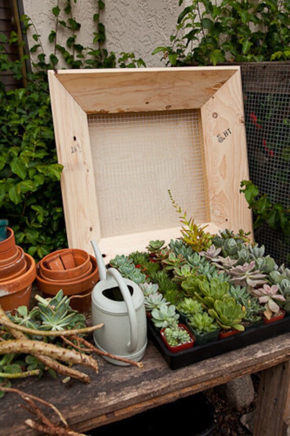 18x18 inch Unfinished Wood Succulent Frame