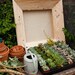 18x18 inch Unfinished Wood Succulent Frame