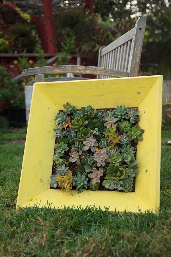 18x18 inch Unfinished Wood Succulent Frame