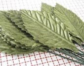 12 Leaves