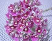 Forget Me Nots Flowers - Fushia Pink