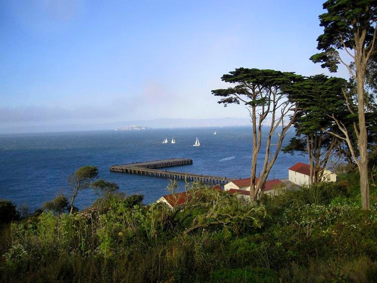 Sailing Away - 9x12 Fine Art Photograph - San Francisco Bay - California Landscape - Sail Boats - Metallic Print - Alcatraz - Travel