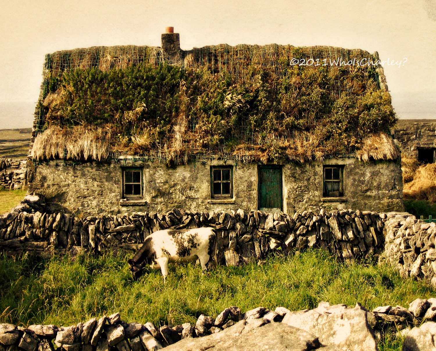 THATCHED ROOF COTTAGE, with Cow. Irish Landscape. Ireland Photo, Fine Art Photography, Aran Islands, 8 x 10