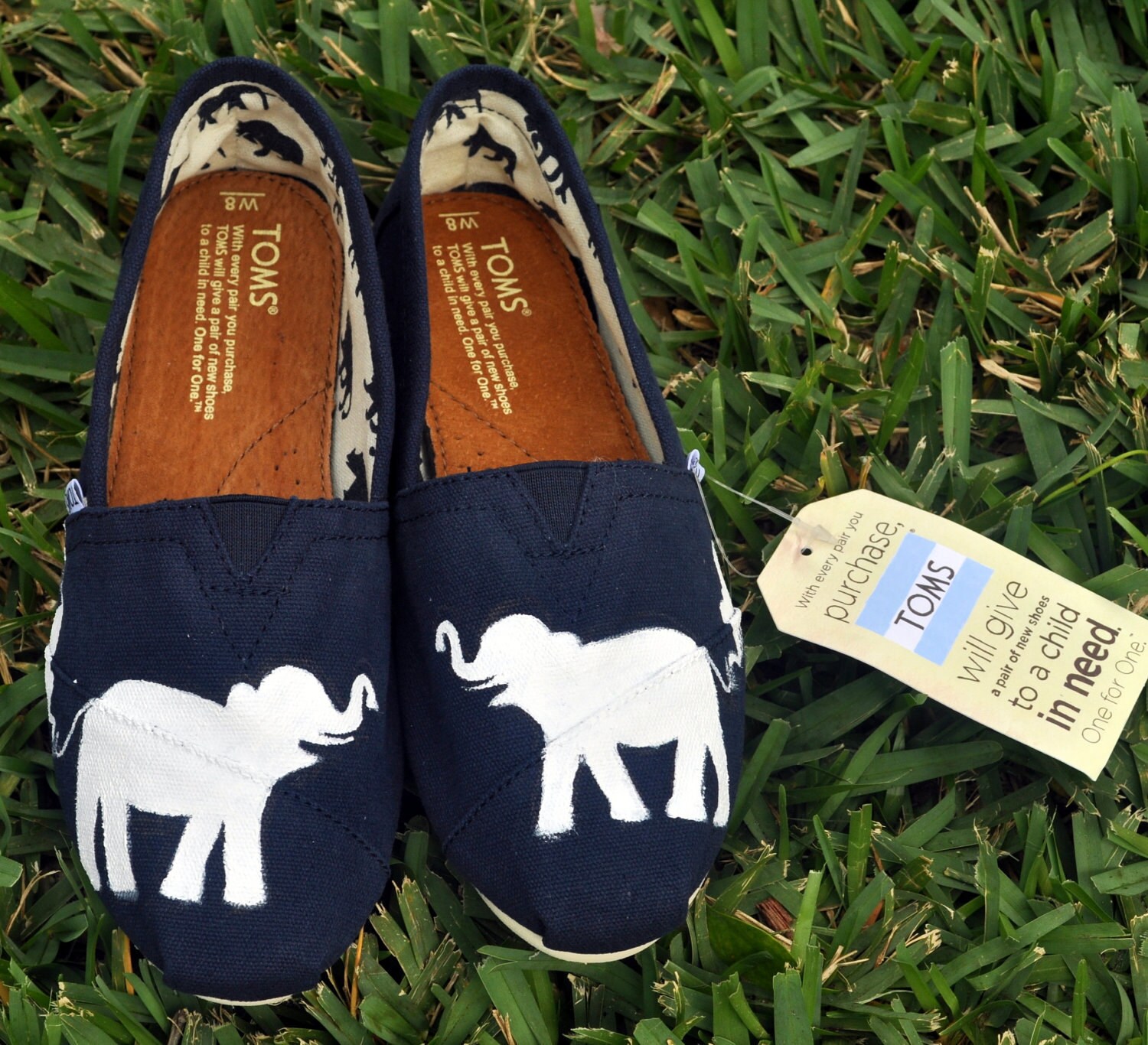 toms with elephants