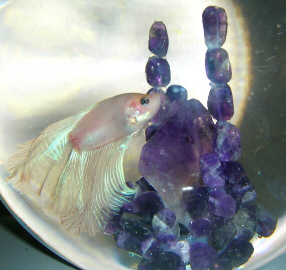 Amethyst 100 gemstone crystal aquarium by artforaquariums on Etsy