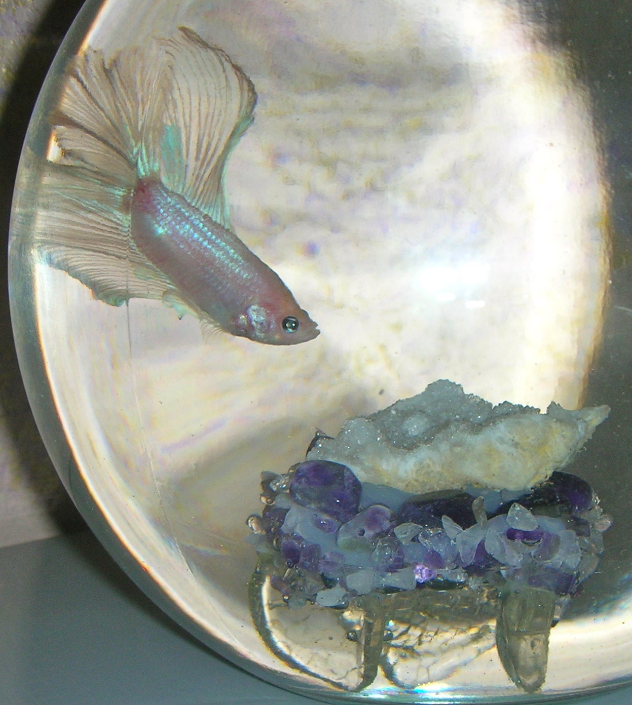 Amethystrose clear and crystal quartz aquarium by artforaquariums