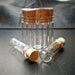 5 Medium Glass Bottle Vials with Cork. Size 1.3/4 inch tall Vial. Item - 1545