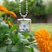 Beveled Glass Pendant with a Real Forget Me Not Flower