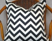 Zig Zag 20" Chevron Pillow Cover (Ivory/Ebony)