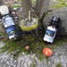 Beyond the Grave Collection/ Spirit Allies, Ancestors, Spirit Workings, Samhain, Divination