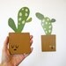 Cute Plant