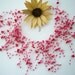 Pink Necklace, Pink Choker, Beaded Necklace, Handmade Fashion Jewellery