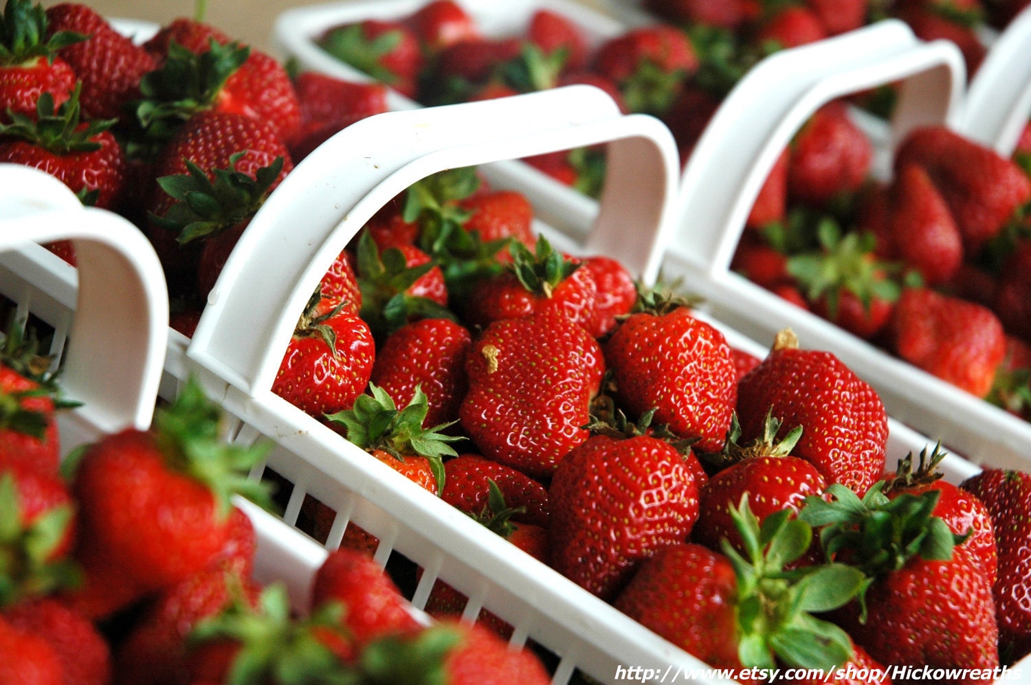 Farm Fresh Strawberries Fine Art Print 8" x 10"