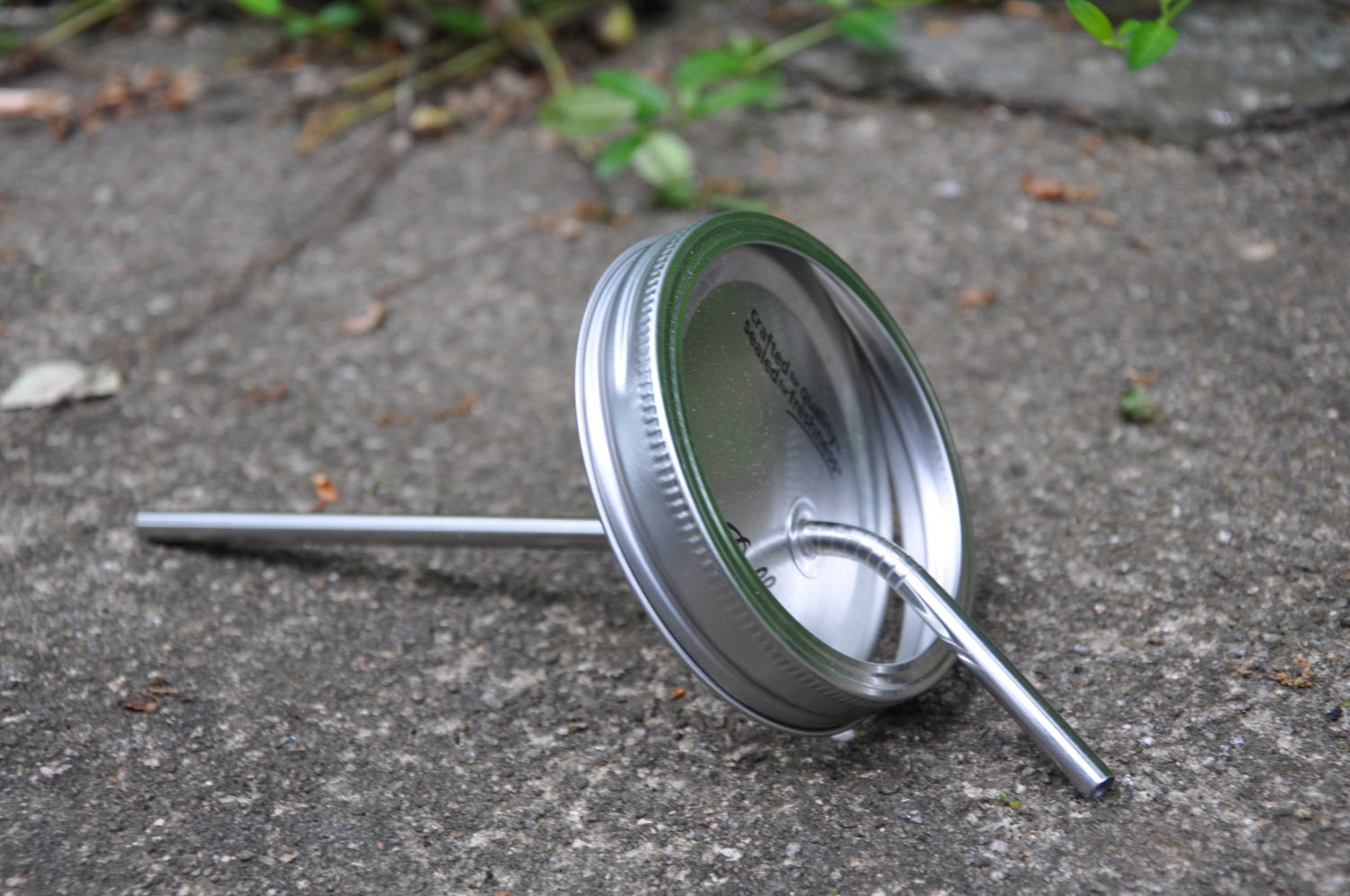 Drink it Up Cup Lid and Straw