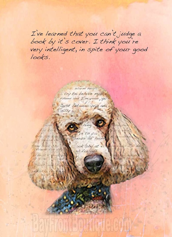 Poodle Quotes. QuotesGram