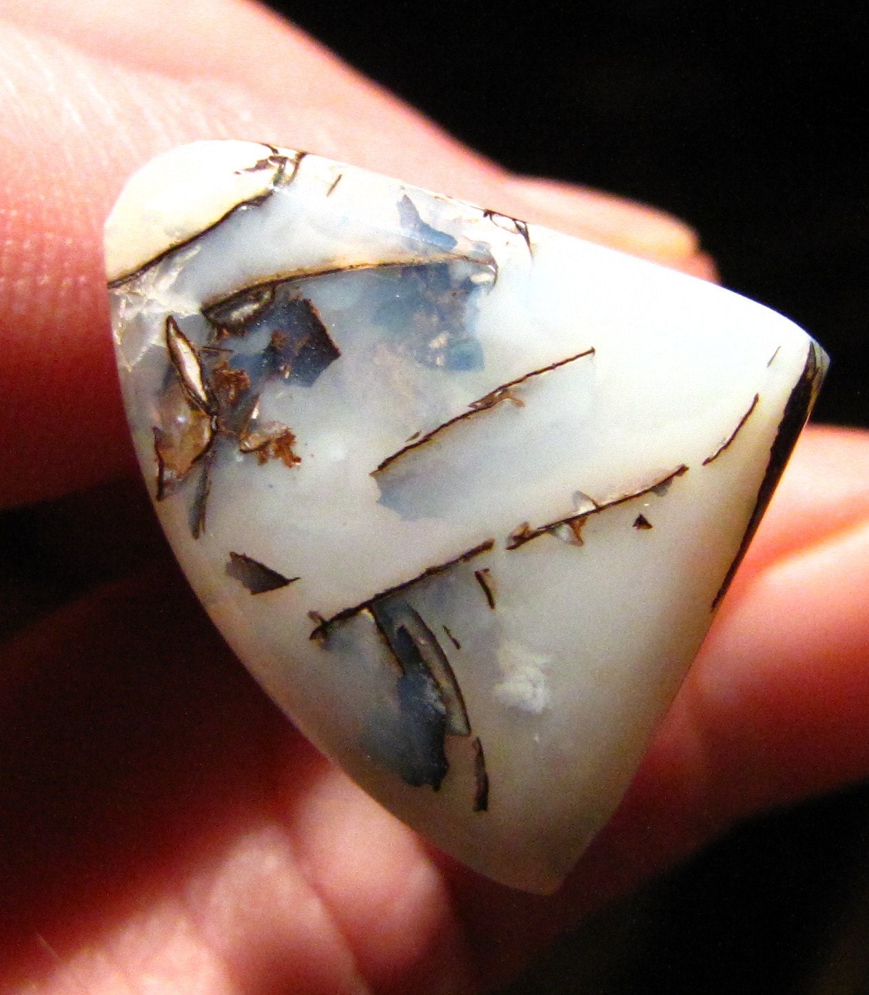 16ct Koroit Boulder Opal cabochon Opalized Wood  The Bamboo