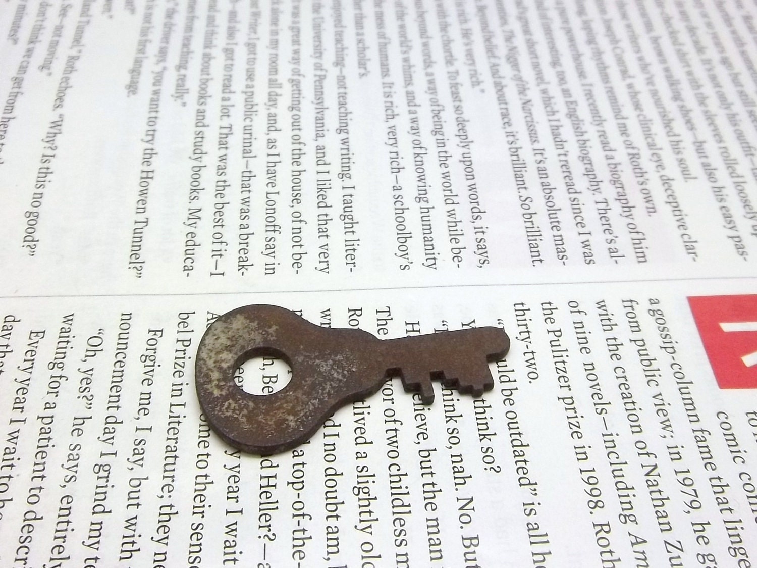 Vintage Flat Lock Key Rusty Steampunk Gothic