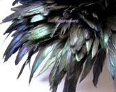 Natural Green Iridescent Bronze Rooster Feathers 6 to 8 inches long (15 to 20 cm) 1 Inch Strip - PudgyFeathers