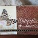 Butterflies of America, Butterflies and Moths of America, Lillian Davids Fazzini, 1934 Whitman Publishing Company, Vintage Ephemera