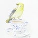 Tea Bird watercolor yellow goldfinch delft cup art print