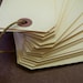 25 Manila Tags - Large 2 1/4" x 4 3/4"