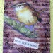 OOAK Art Collage and Ink Card "Sing Your Song"