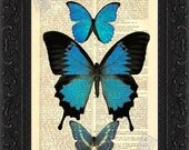 Vibrant Blue Butterflies Print on vintage upcycled dictionary page mixed media digital