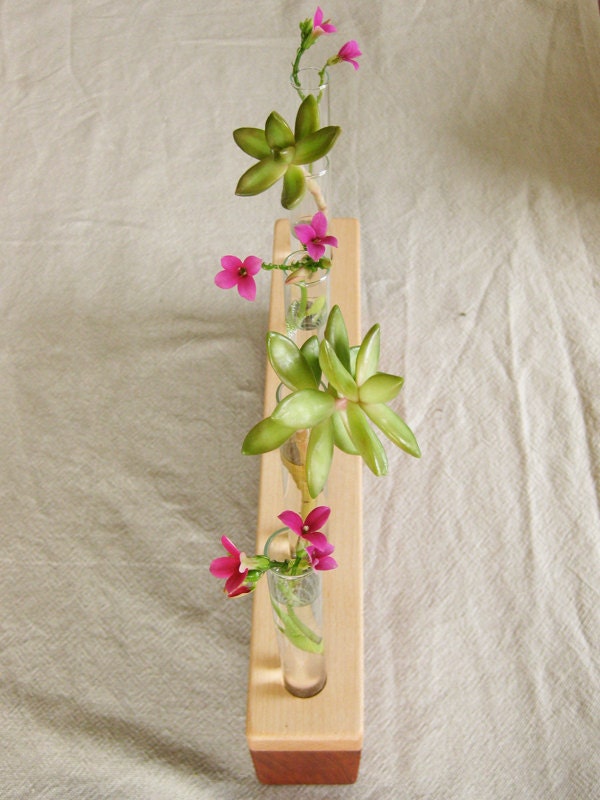 Bud Vase - five mini bud vase holder in salvaged reclaimed cherry and maple wood V158