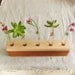 Bud Vase - five mini bud vase holder in salvaged reclaimed cherry and maple wood V158