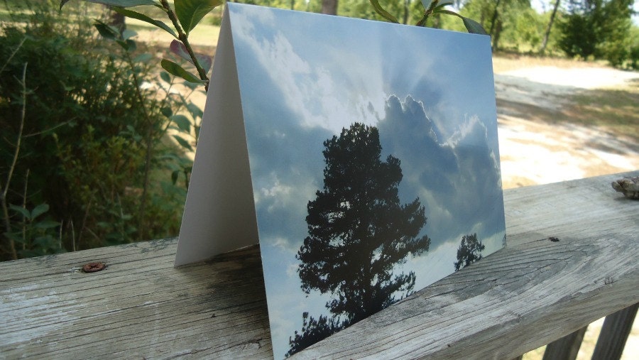 From Above Blank Greeting Card