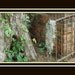 Lost Moss, Outdoor Wrought Iron Gate Photo
