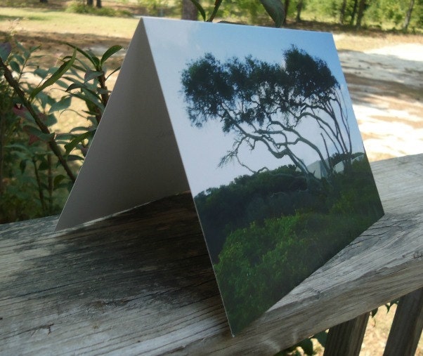 Beach Safari Blank Greeting Card