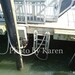 Ladder Down, nautical dock photograph