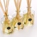 GAUGUIN'S TAHITI, a tropical blend by evoluxe. Apothecary Reed Diffuser (Dpg & alcohol free)