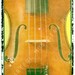 violin art print 8 x 10  polaroid gift for boyfriend gift for musician music gift guitar gift guitar guitar gift hipster men mens him